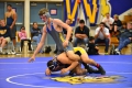 Wrestling_Napa 262.jpg