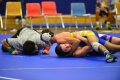 Wrestling_Armijo 233.jpg