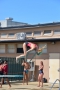 Swim_Vacaville 001.jpg