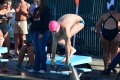 Swim_Vacaville 226.jpg