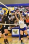 Volleyball_Vacaville 221