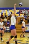 Volleyball_Vacaville 457