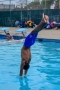 Dive_Swim_Practice 150